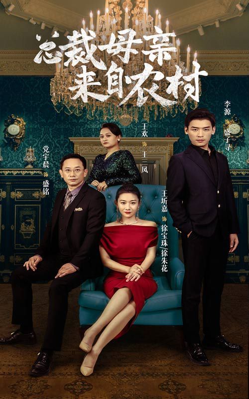 总裁母亲来自农村 第21-40集