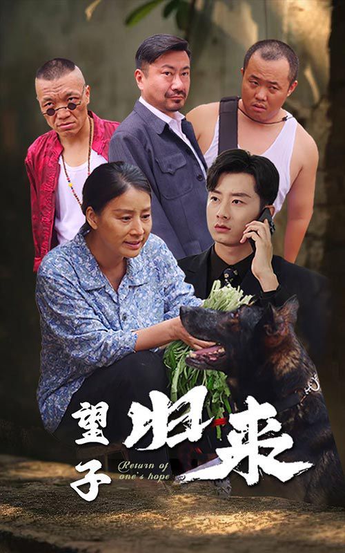 望子归来 全集完结(大结局)