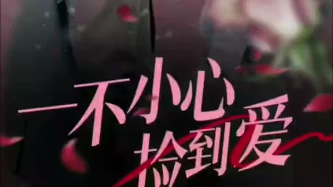 一不小心捡到爱 第1-20集