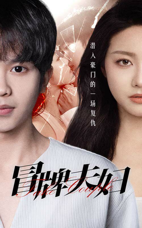 冒牌夫妇 第21-40集