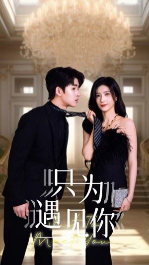 只为遇见你 第1-20集