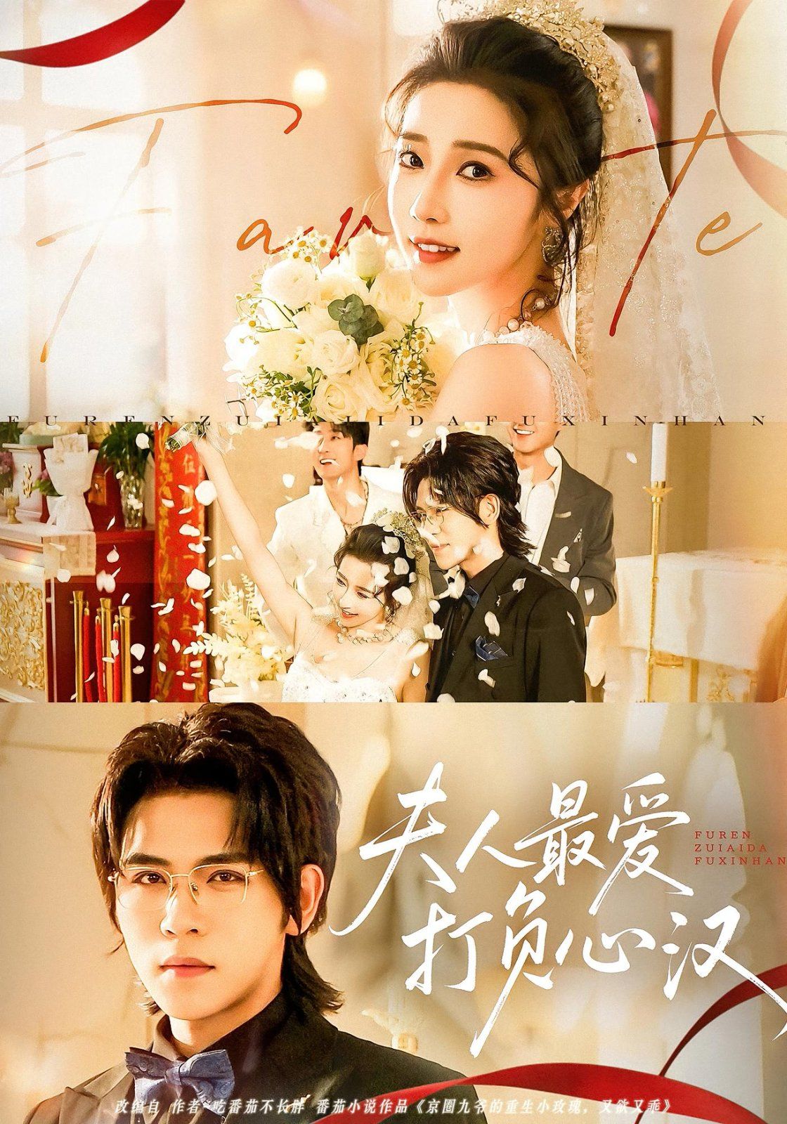 夫人最爱打负心汉(全集)