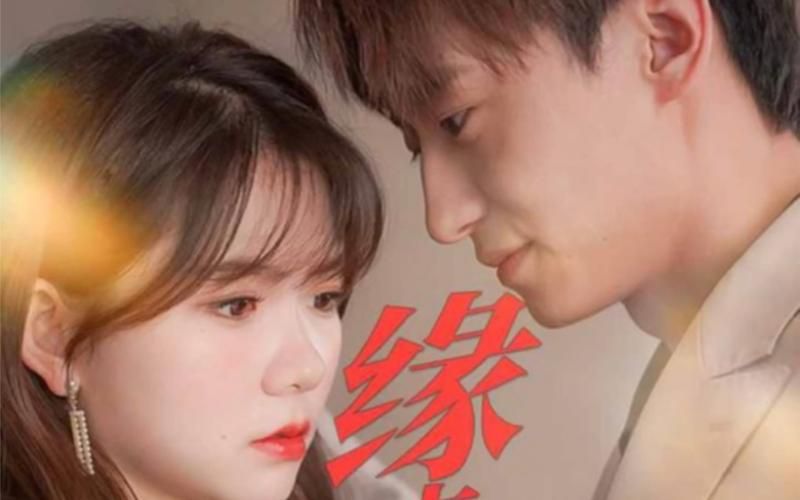 缘来是你 第1-20集