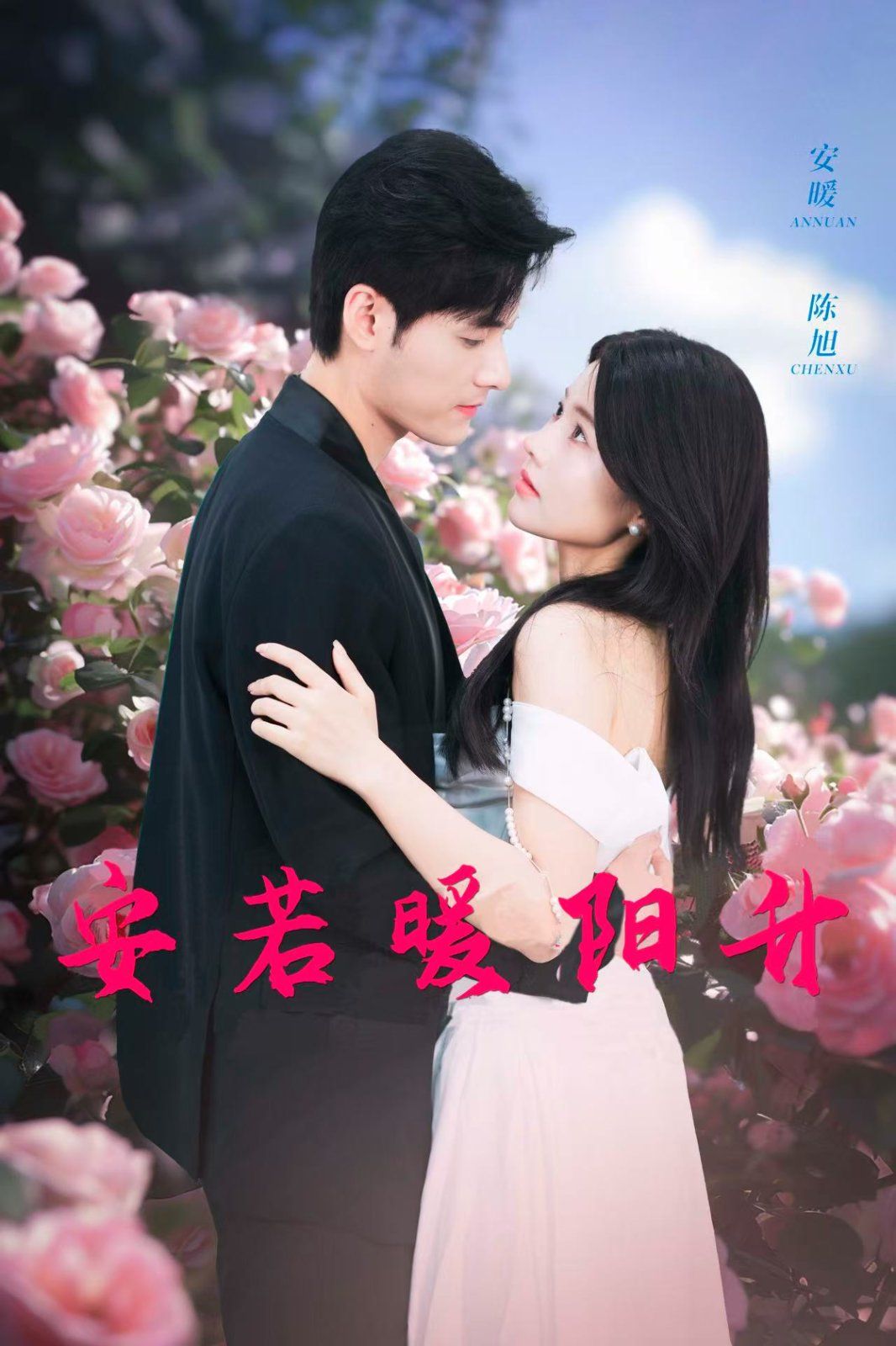 安若暖阳升 第1-20集