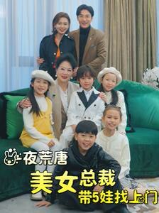 一夜荒唐美女总裁带5娃找上门 第21-40集