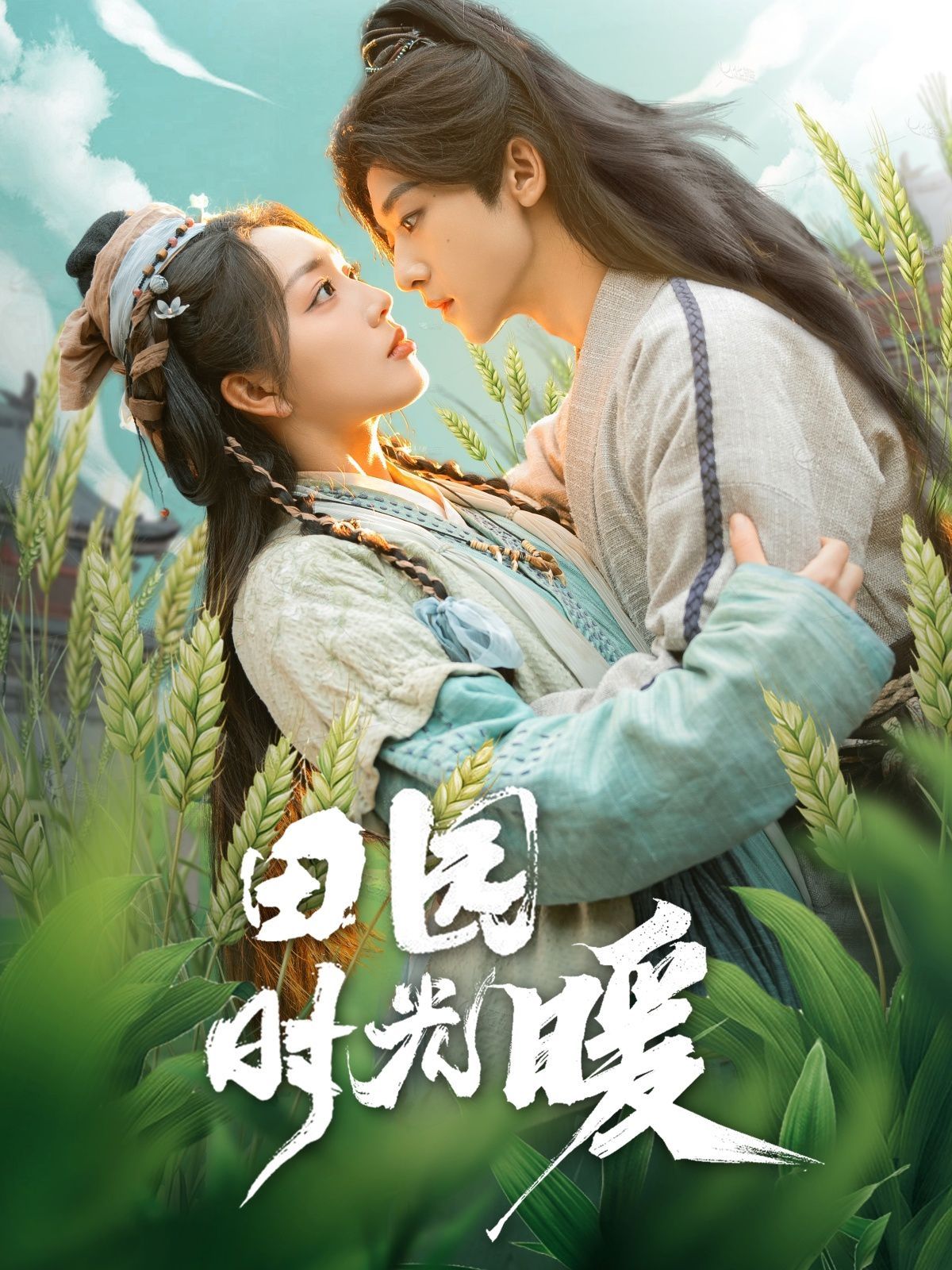 田园时光暖 第31-60集