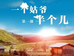 一个姑爷半个兒 第一部(全集)