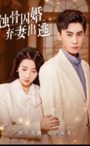 蚀骨囚婚，弃妻出逃 第101集