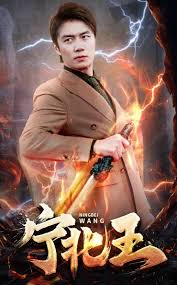 宁北王 第101集(大结局)