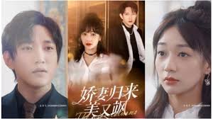 娇妻归来美又飒 全集(大结局)