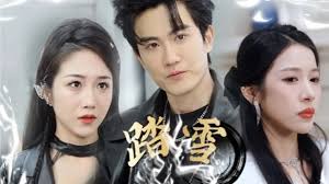 踏雪 全集(大结局)