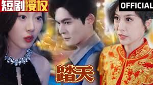 踏天 全集(大结局)