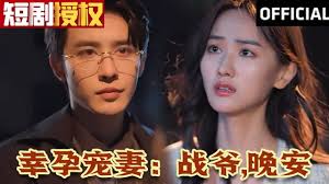 幸孕宠妻：战爷，晚安 全集(大结局)