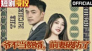 爷不当赘婿，前妻破防了 全集(大结局)