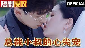 总裁小叔的心尖宠 全集(大结局)