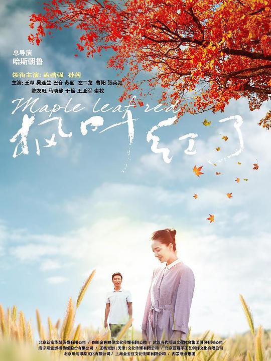 枫叶红了 第01集