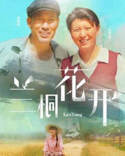 兰桐花开 第03集