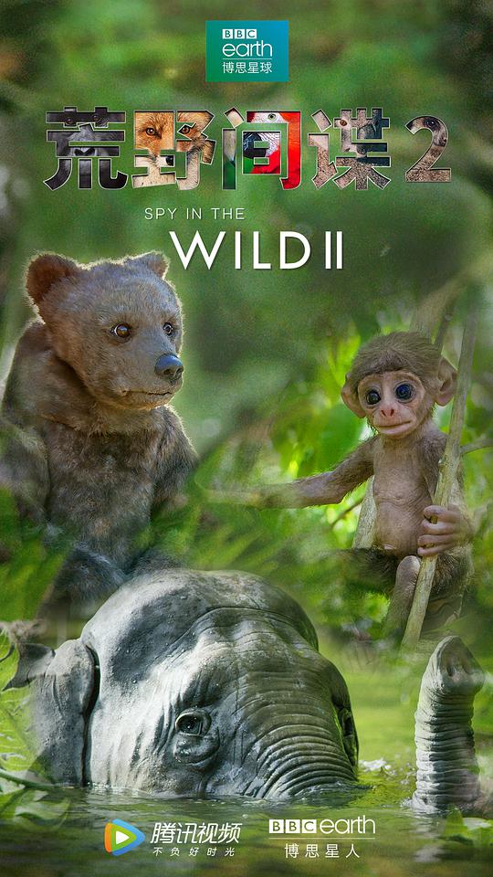 荒野间谍第二季 第01集